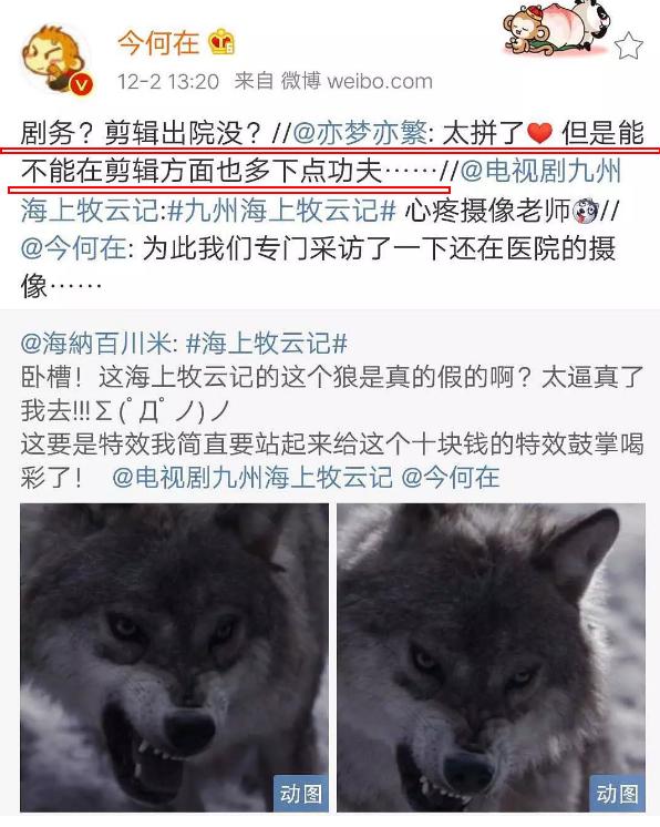 海牧为什么火爆,海牧什么意思