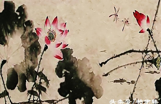 做人的十个基本道理,做人的十条处世之道