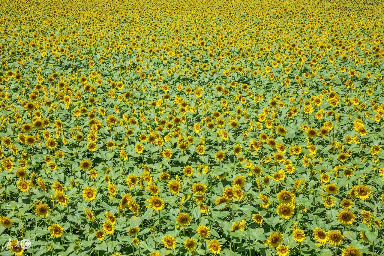 英语介词onin的用法和区别,英语介词on的所有意思