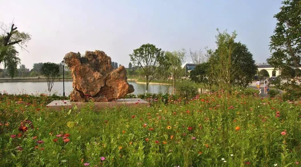 孝昌县学校名录,孝德学校