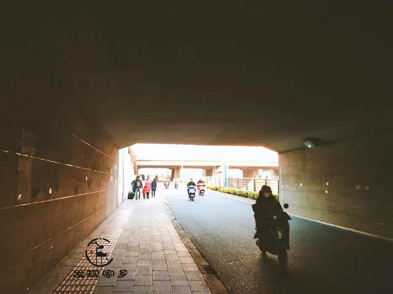 炸根油条，摊个鸡蛋饼，遛红梅公园，环抱半个常州老城区