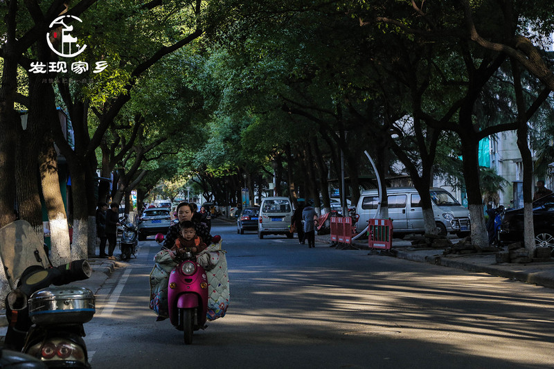 炸根油条，摊个鸡蛋饼，遛红梅公园，环抱半个常州老城区