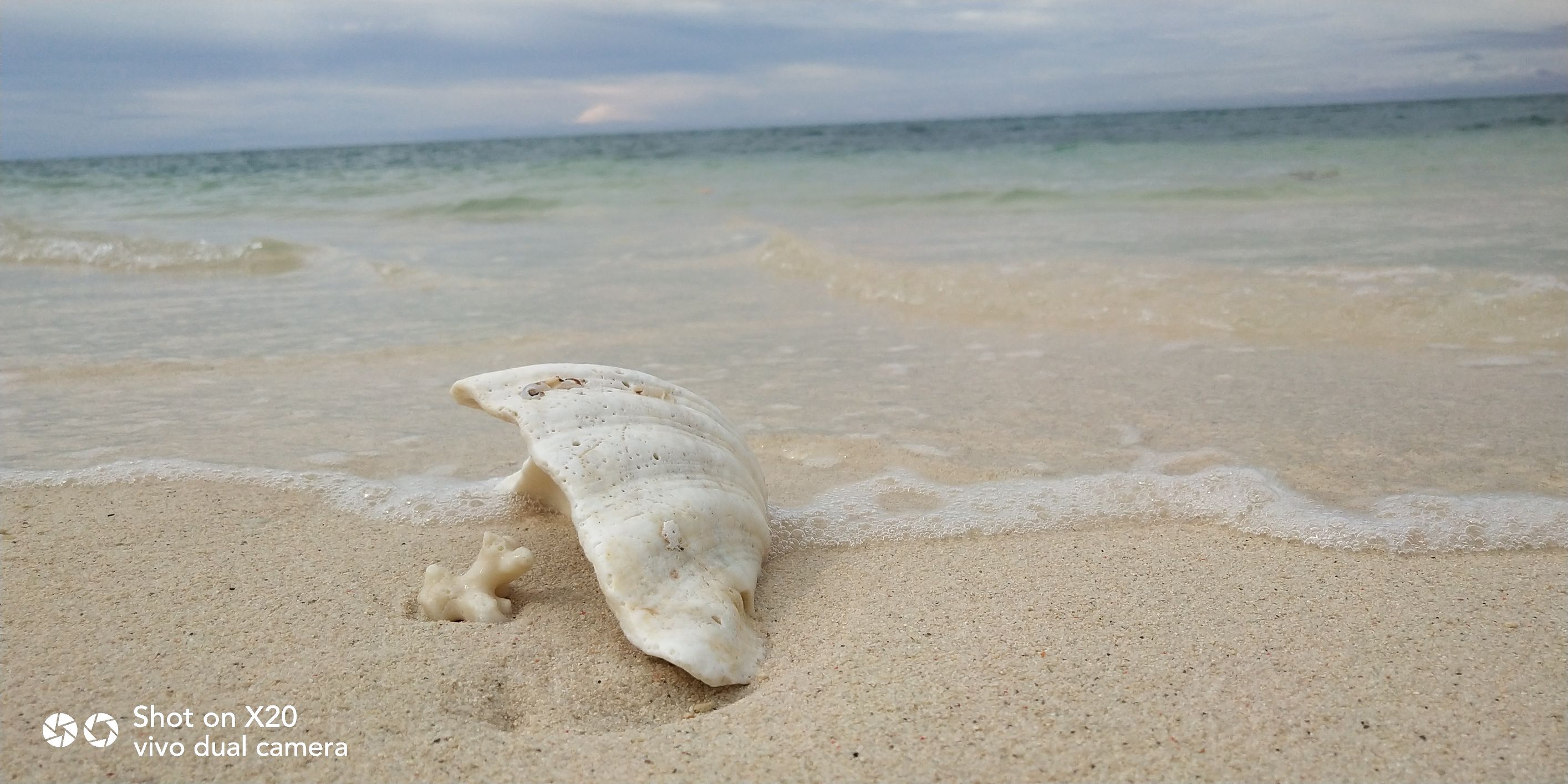 带着vivo x20去旅游 (vivox20plus沙巴之旅)