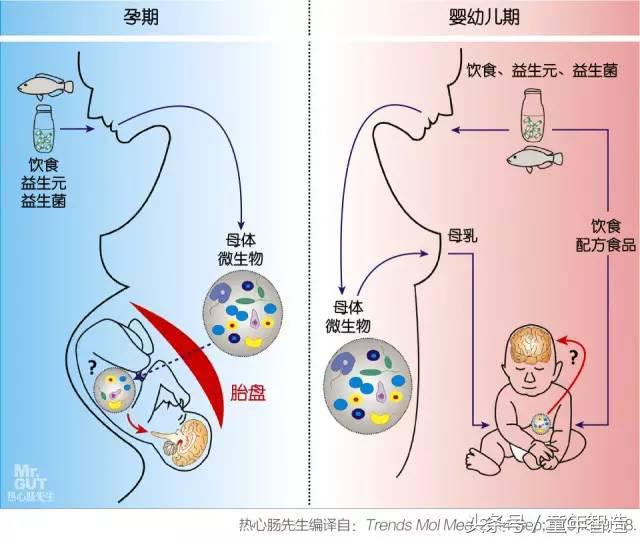 科学养娃真的科学么,科学有用常识小知识
