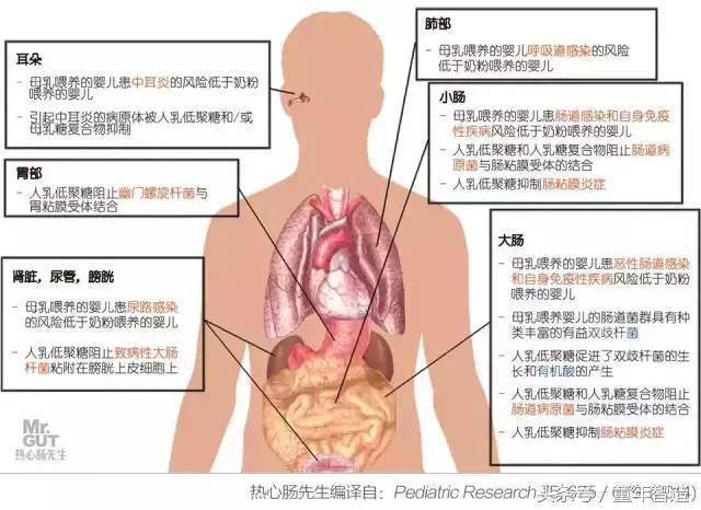 科学养娃真的科学么,科学有用常识小知识