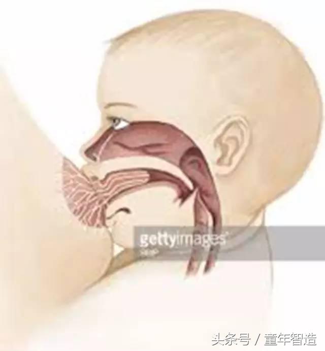 科学养娃真的科学么,科学有用常识小知识