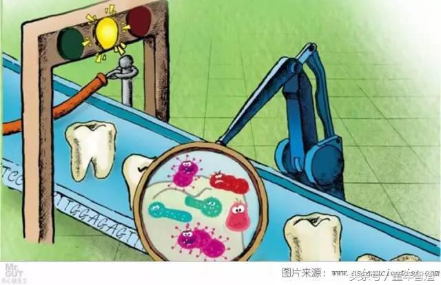 科学养娃真的科学么,科学有用常识小知识