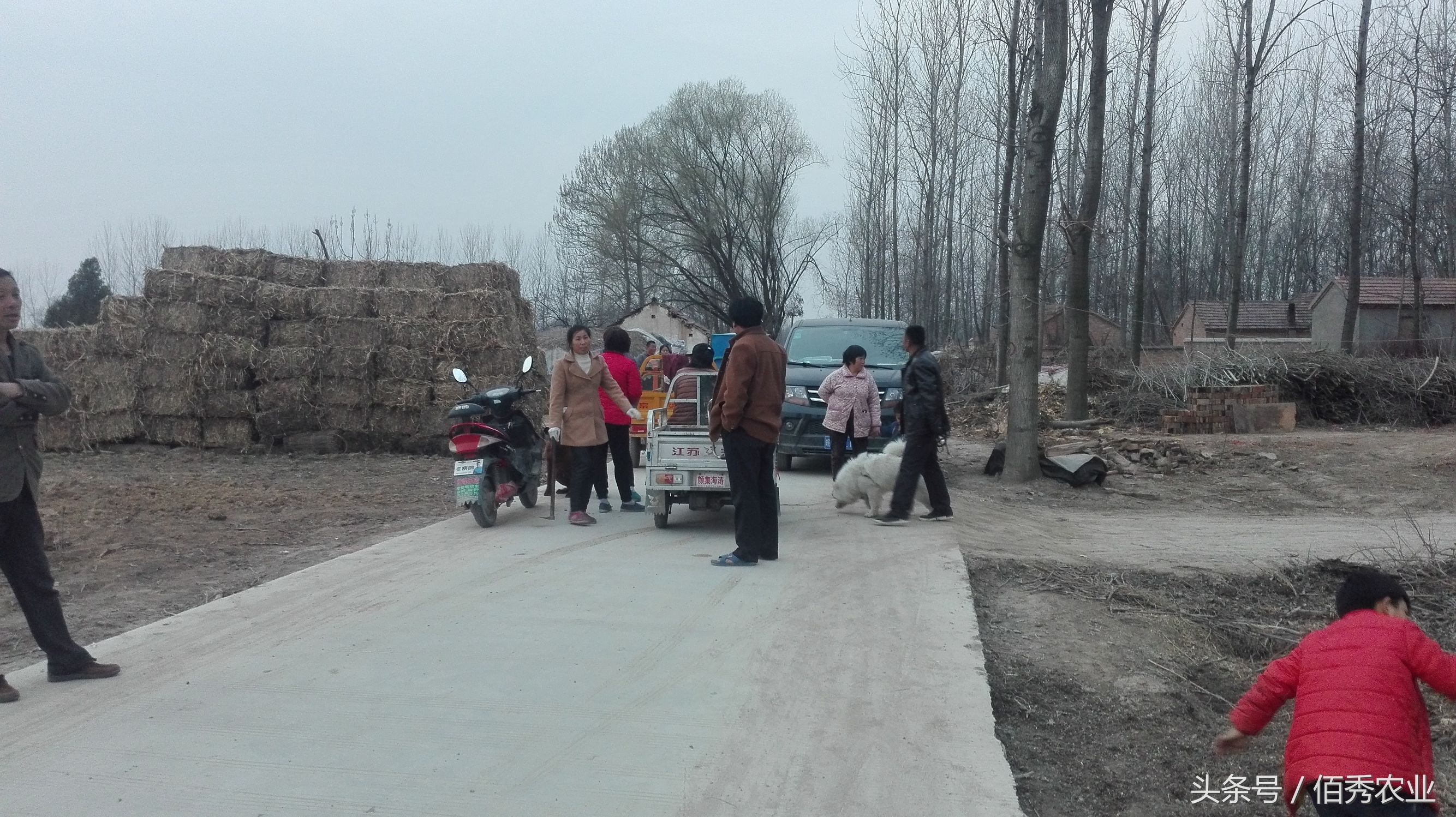 让农村人纠结的小生意，经营者都想退出，却又让人十分羡慕！