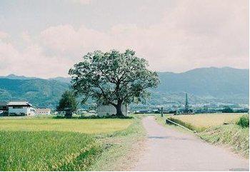 难忘的一天作文400字,难忘的一天500字作文