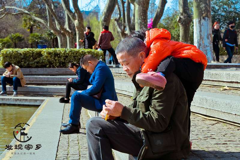 炸根油条，摊个鸡蛋饼，遛红梅公园，环抱半个常州老城区
