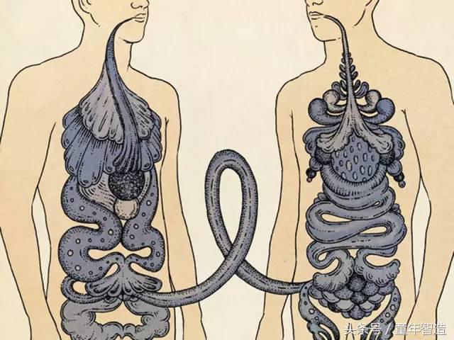 科学养娃真的科学么,科学有用常识小知识