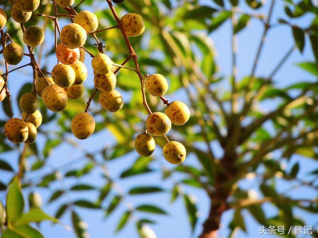 没有化妆品的年代，人们靠什么来美容？