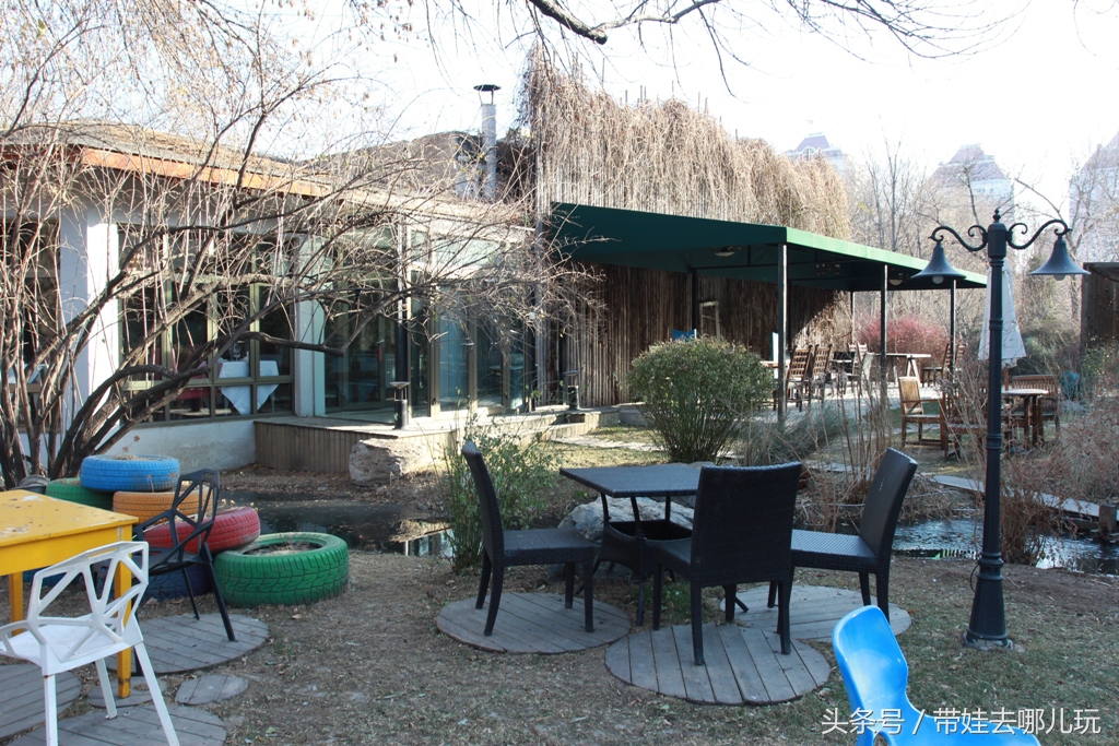 奥森附近藏着一个世外桃源，大草坪上喂白鸽、摸羊驼