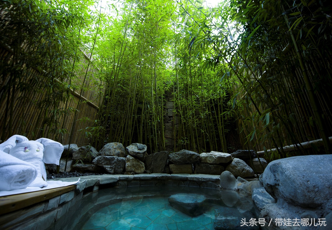 奥森附近藏着一个世外桃源，大草坪上喂白鸽、摸羊驼