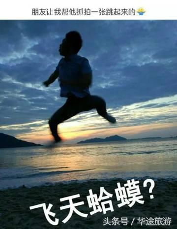 忘掉剪刀手吧！我偷师学艺来养你！