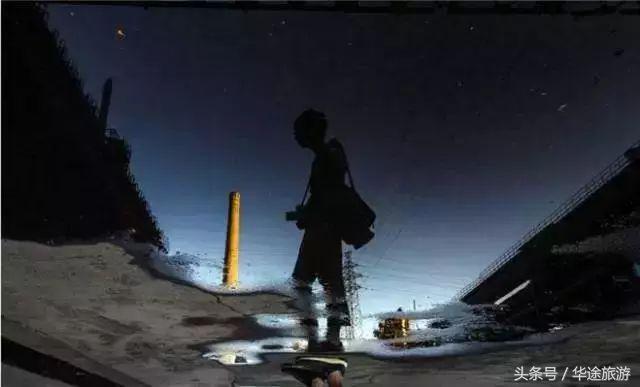 忘掉剪刀手吧！我偷师学艺来养你！