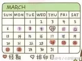 你了解受孕的过程吗,怎么区分排卵和怀孕