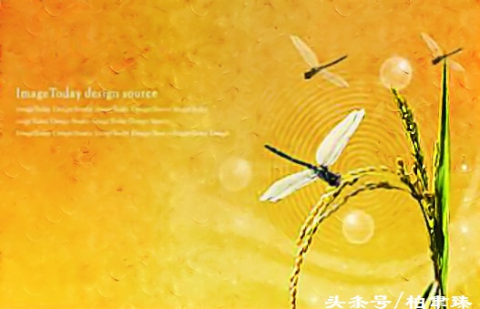 做人的十个基本道理,做人的十条处世之道