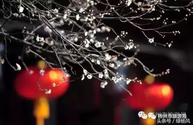 扬州的冬天,冬天的扬州美景