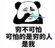 回形针马桶,2000块钱的回形针