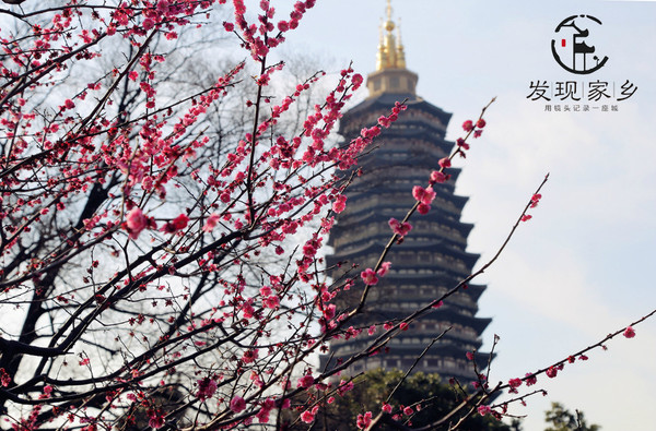 炸根油条，摊个鸡蛋饼，遛红梅公园，环抱半个常州老城区