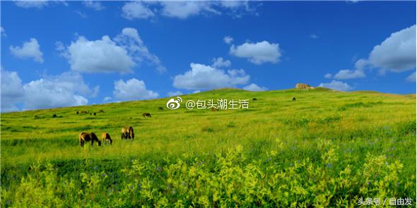 固阳县野秦长城,内蒙古包头固阳长城