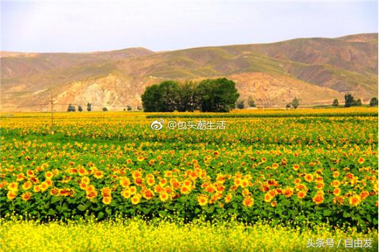 固阳县野秦长城,内蒙古包头固阳长城