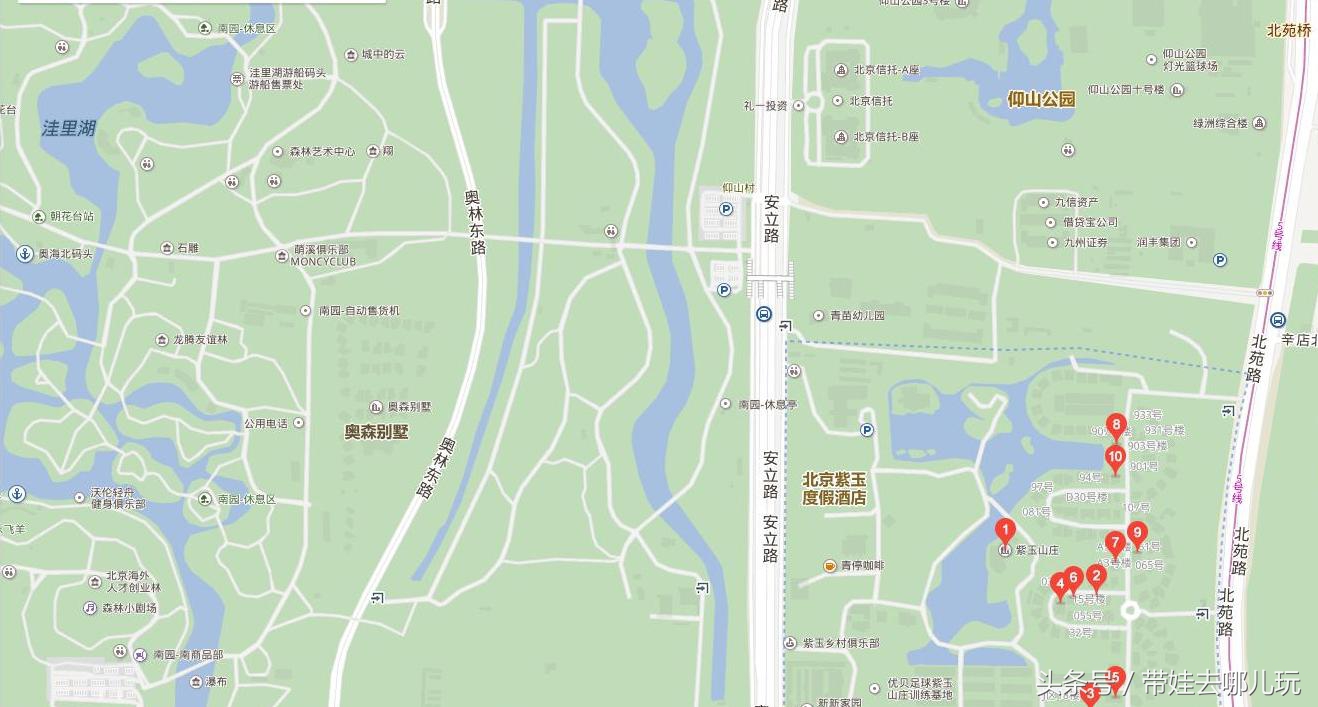 奥森附近藏着一个世外桃源，大草坪上喂白鸽、摸羊驼