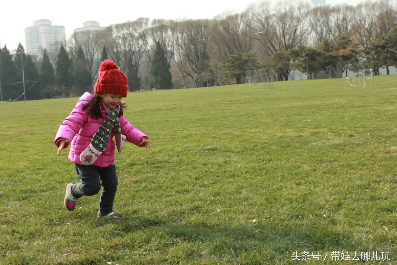 奥森附近藏着一个世外桃源，大草坪上喂白鸽、摸羊驼