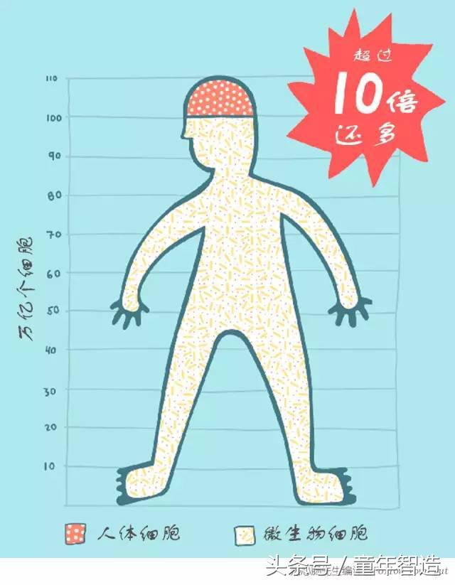 科学养娃真的科学么,科学有用常识小知识