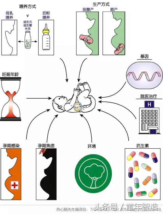科学养娃真的科学么,科学有用常识小知识