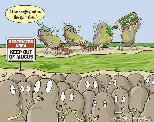 科学养娃真的科学么,科学有用常识小知识