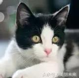 大家都是用的气垫，凭什么就她辣么美？！