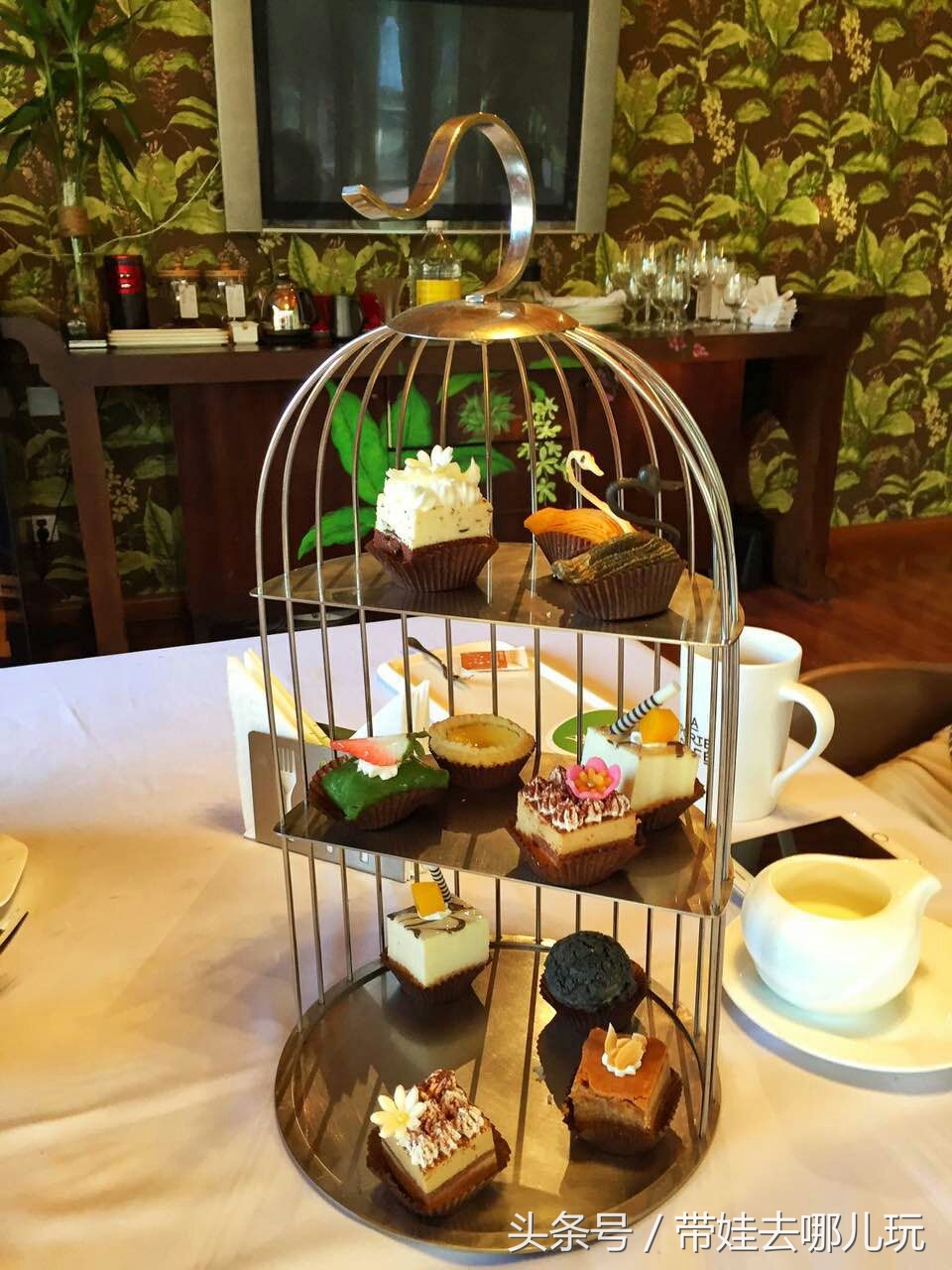 奥森附近藏着一个世外桃源，大草坪上喂白鸽、摸羊驼