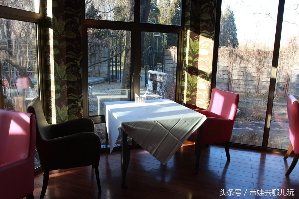 奥森附近藏着一个世外桃源，大草坪上喂白鸽、摸羊驼