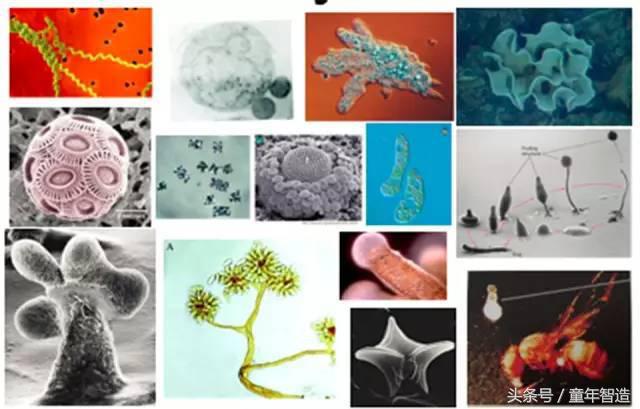 科学养娃真的科学么,科学有用常识小知识