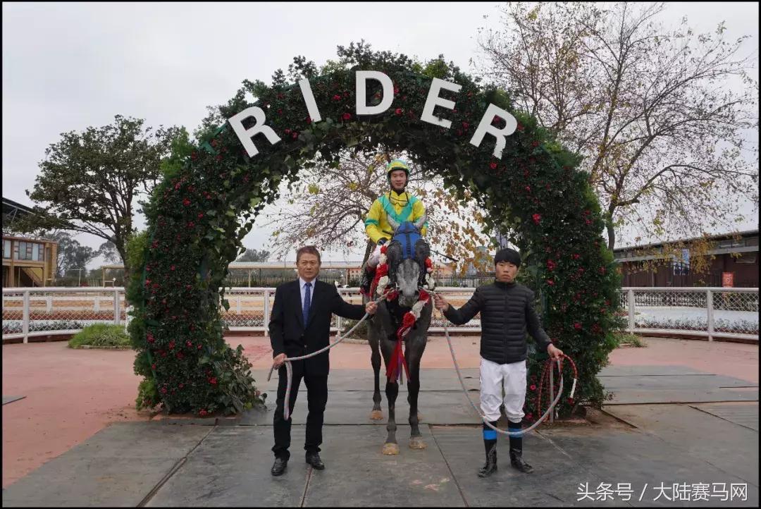 中信嘉丽泽莱德马会,昆明嘉丽泽赛马邀请赛