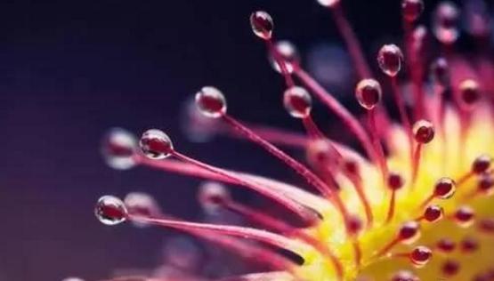 适合摄影爱好记录生活的相机,随时随地记录高清生活用什么拍摄