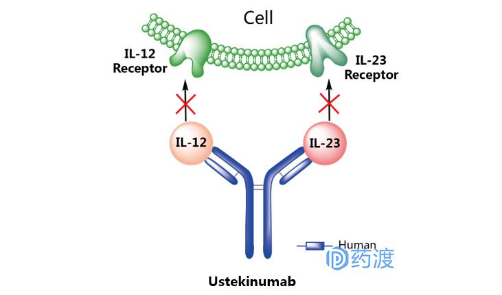治疗银屑病生物制剂的优势,生物制剂治银屑病中的应用论文