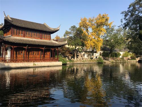 这棵银杏树,经历过湘军烧毁太平天国天王府的那把大火吗?