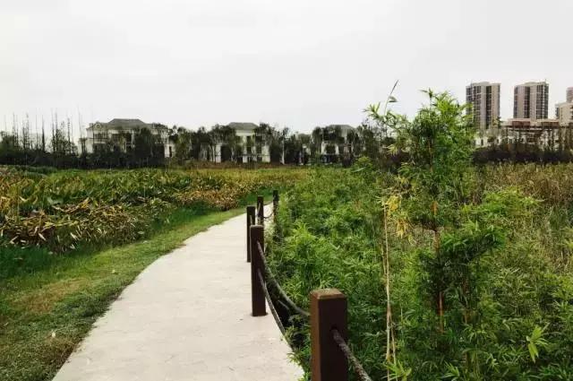 冬天成都两天来回得哪里去玩,成都3-5天短途旅游推荐