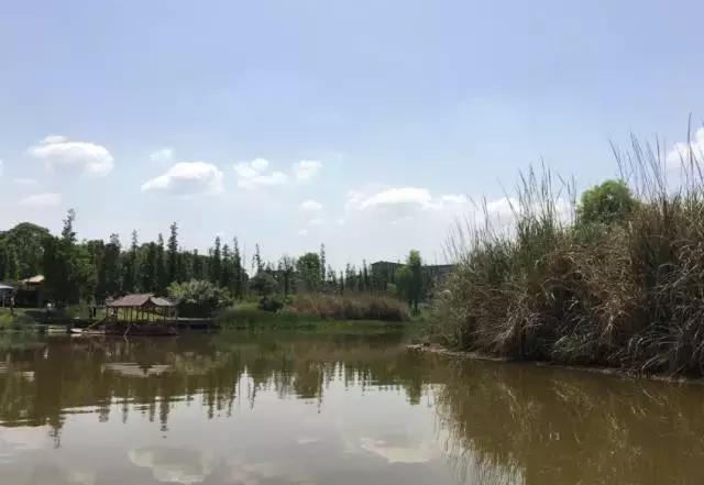 冬天成都两天来回得哪里去玩,成都3-5天短途旅游推荐