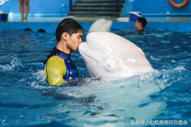 国内适合孩子去的主题乐园,国内好玩的主题乐园有哪些