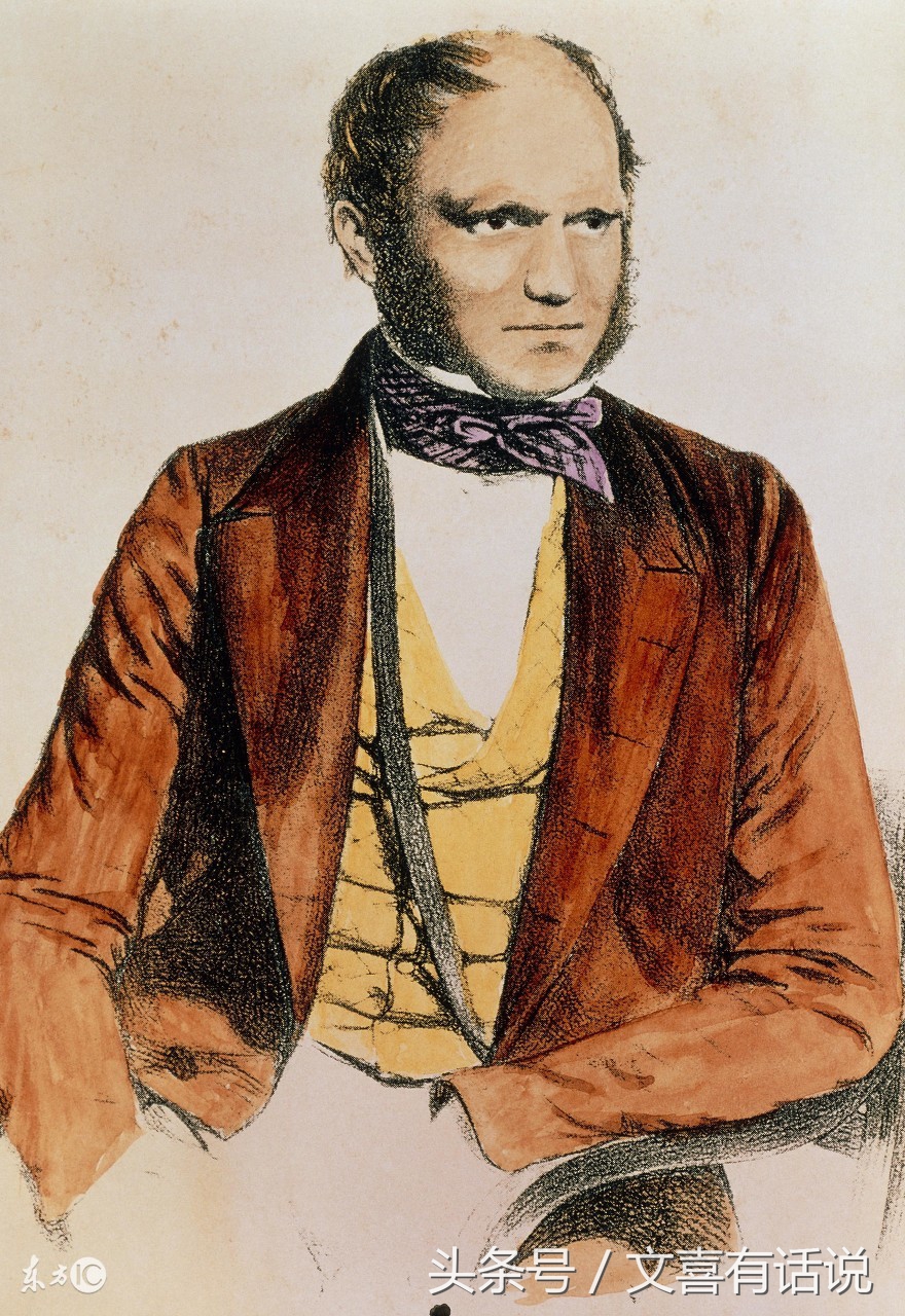 达尔文进化论很多现象解释不通,达尔文进化论是最大的伪科学吗