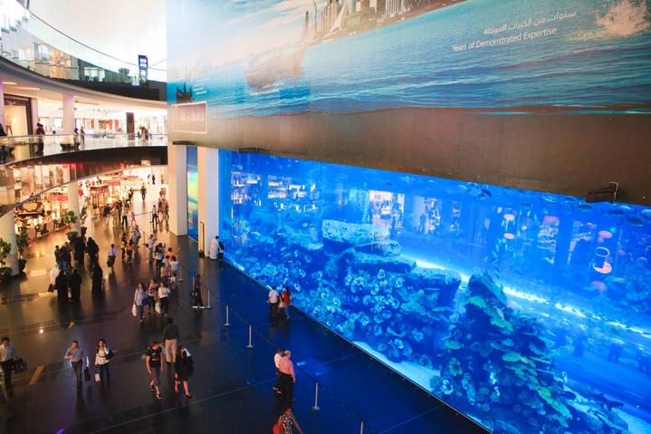 迪拜土豪真多街上全是豪车,迪拜土豪除了豪车还有什么