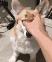 吃大豆油对女生的好处和害处,女性吃大豆油有什么坏处