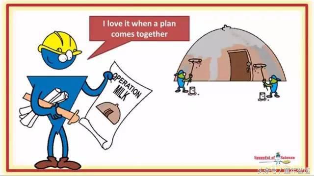 科学养娃真的科学么,科学有用常识小知识