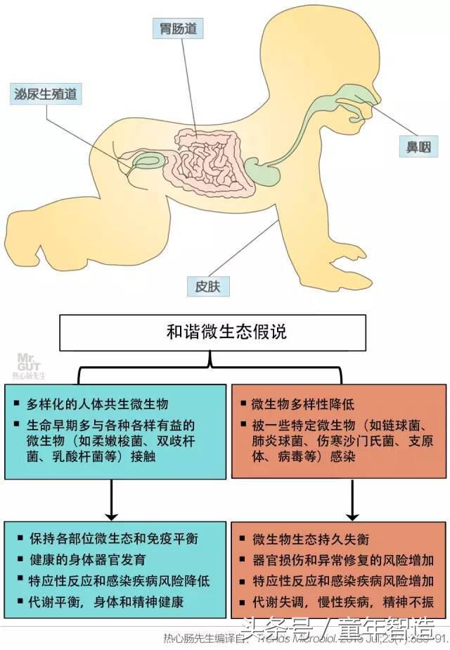 科学养娃真的科学么,科学有用常识小知识