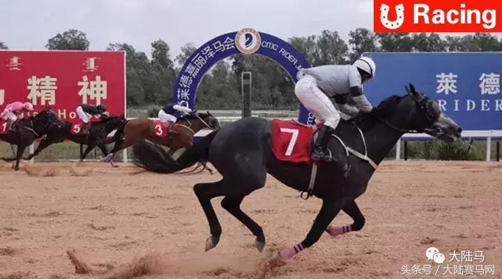 中信嘉丽泽莱德马会,昆明嘉丽泽赛马邀请赛