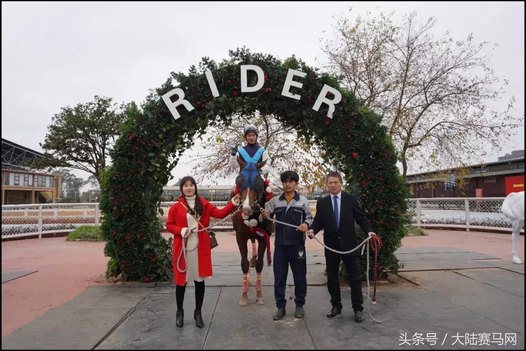 中信嘉丽泽莱德马会,昆明嘉丽泽赛马邀请赛